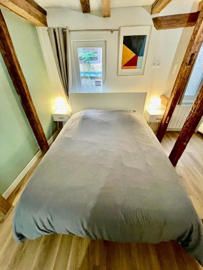 Strasbourg Magnifique Appartement Centre Ville Petite France Εξωτερικό φωτογραφία